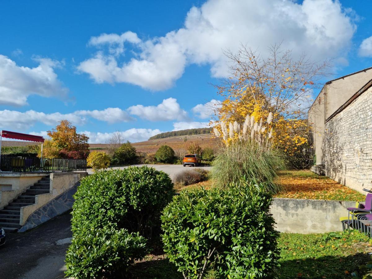 Logis Les Terrasses De Corton Hotel Ladoix-Serrigny Екстериор снимка
